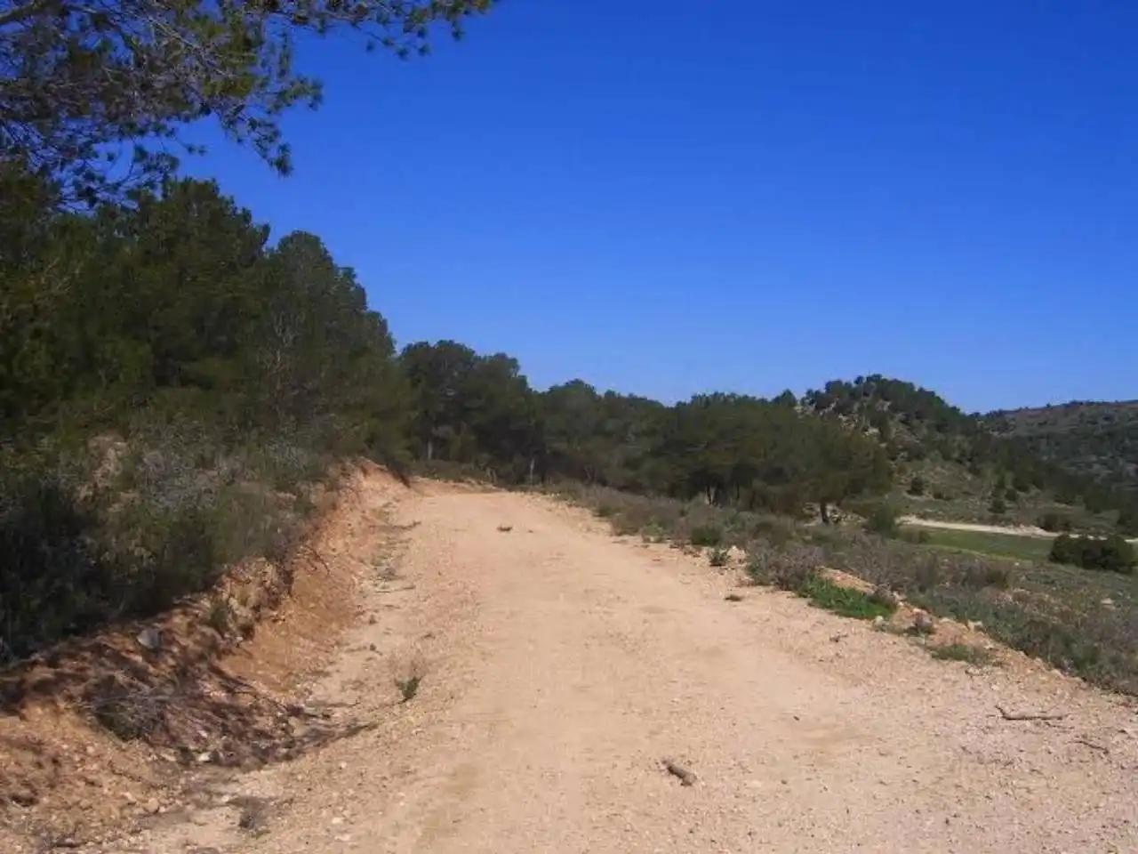 Terrains et parcelles à vendre à Pedanías Norte, imagen 15