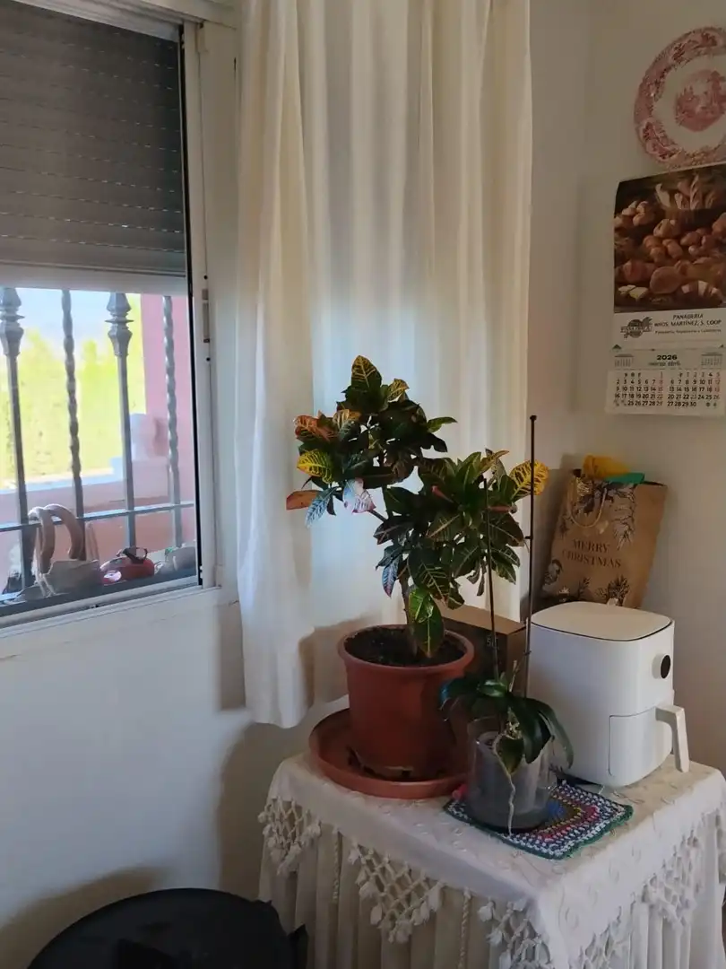 Villa in vendita a Pedanías Centro, imagen 22