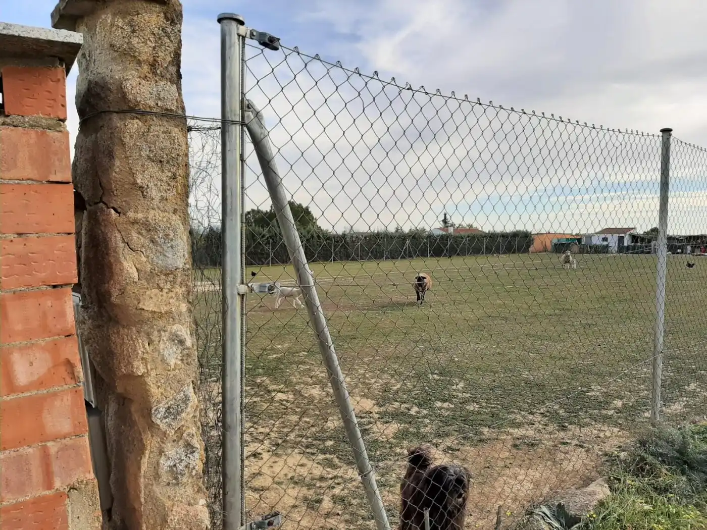 Terreni e lotti in vendita a Valdesalor - Rincón de Ballesteros, imagen 4
