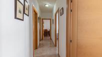 Wohnung zum verkauf in Avenida de Blas de Otero, Maracena, imagen 2