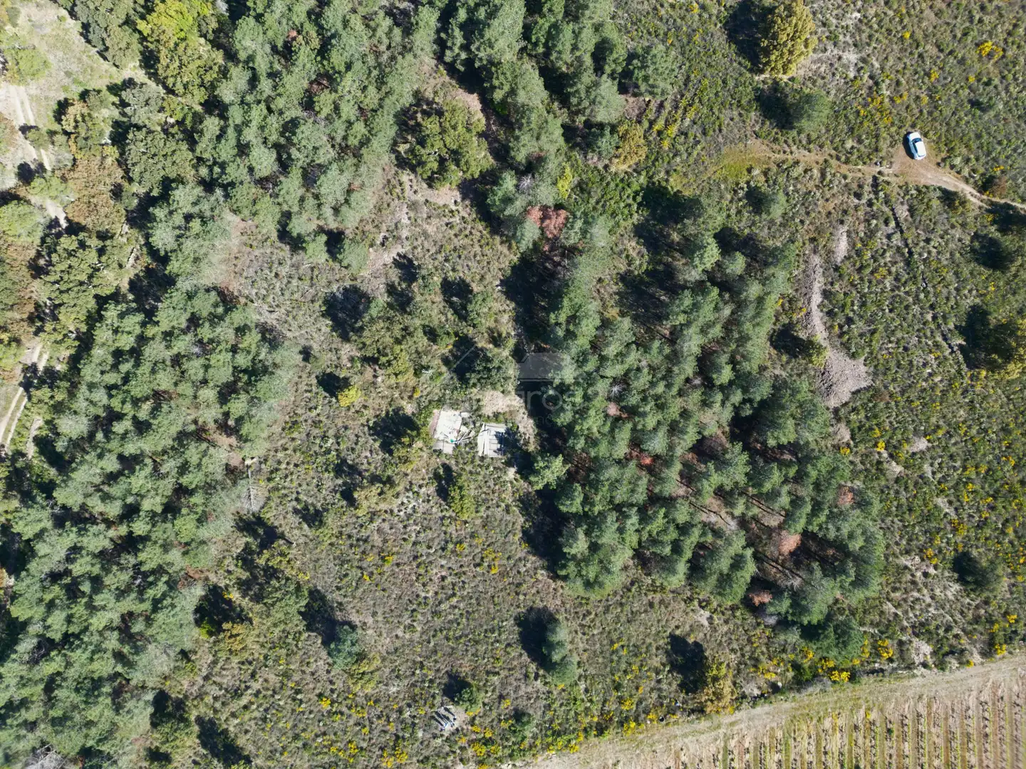 Terrenys i solars en venda a Garriguella, imagen 10