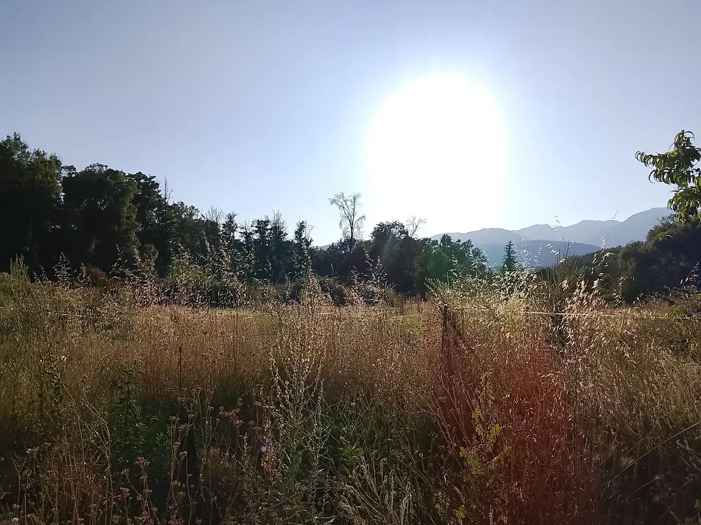 Terreni e lotti in vendita a Villanueva de la Vera