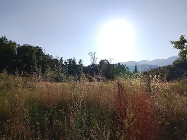 Terreno rustico in vendita a Villanueva de la Vera