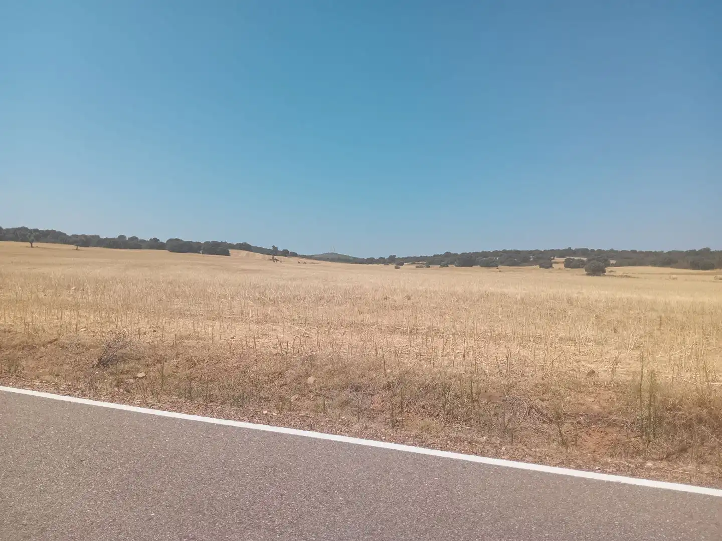 Terreno en venta en Moreruela de Tábara