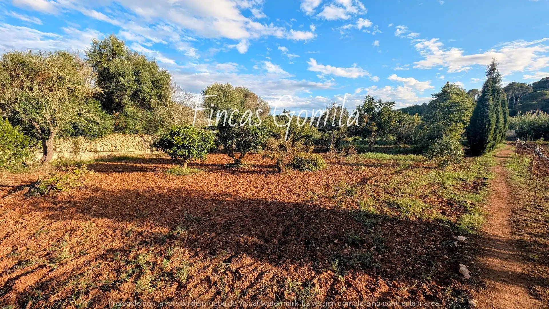 Terreno rustico in vendita a Nova, imagen 8
