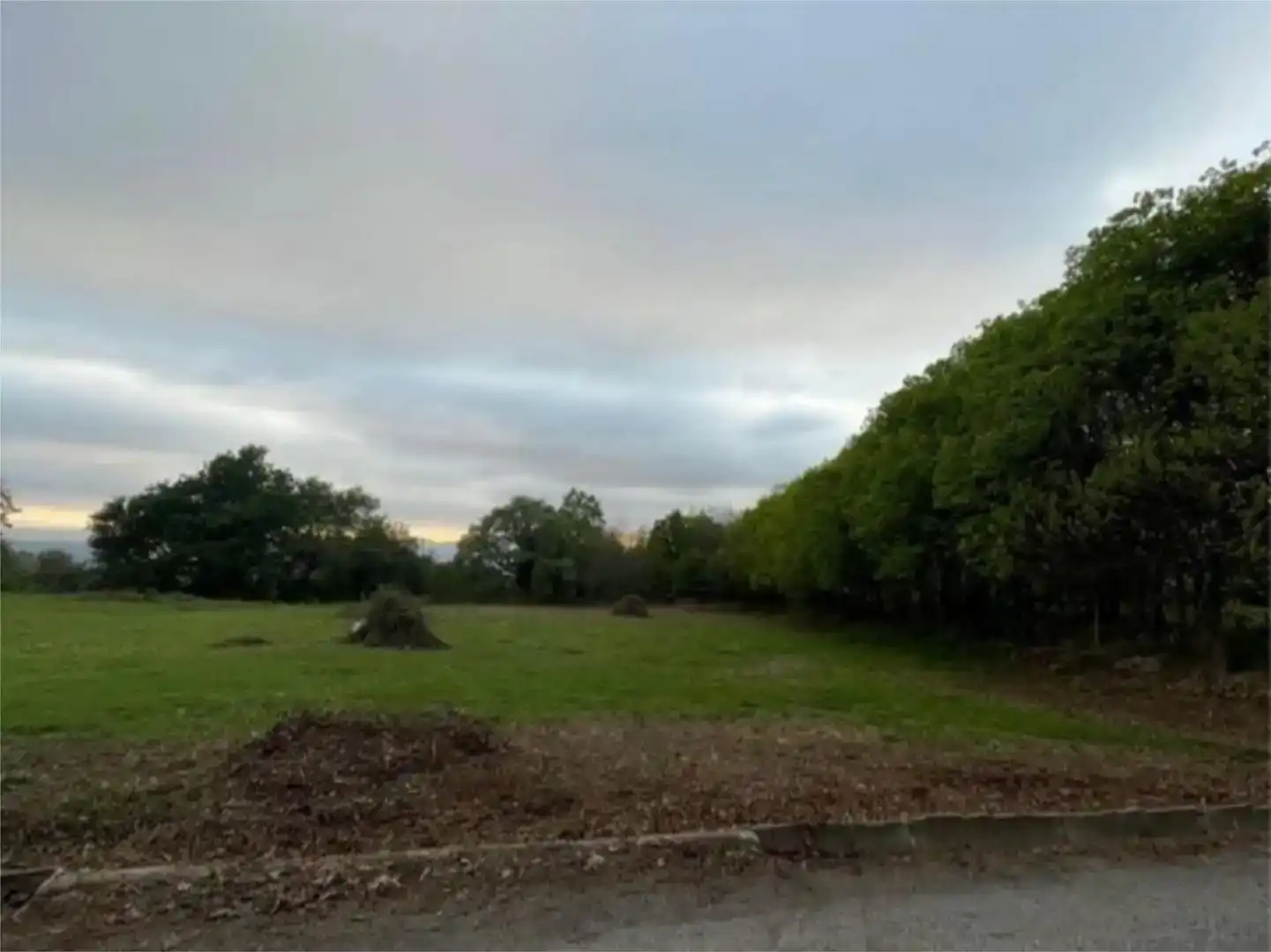 Land for sale in Covelo