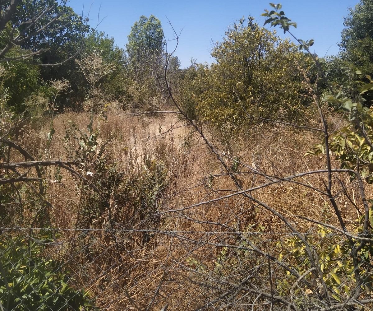 Residencial en venda en Palma del Río