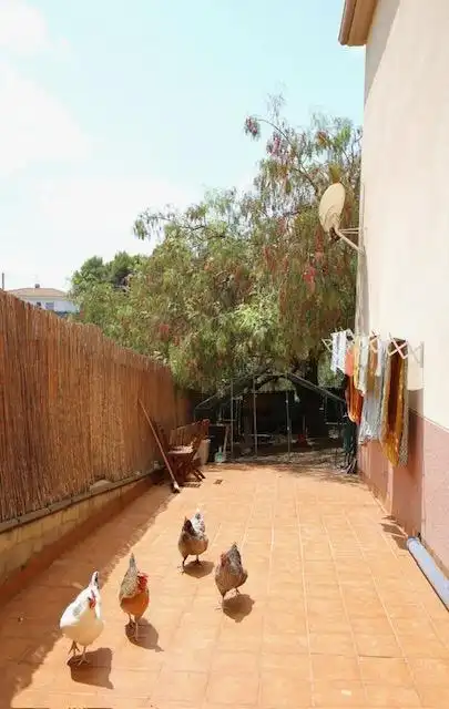 Maison avec piscine à vendre à Els Hostalets de Pierola, imagen 37