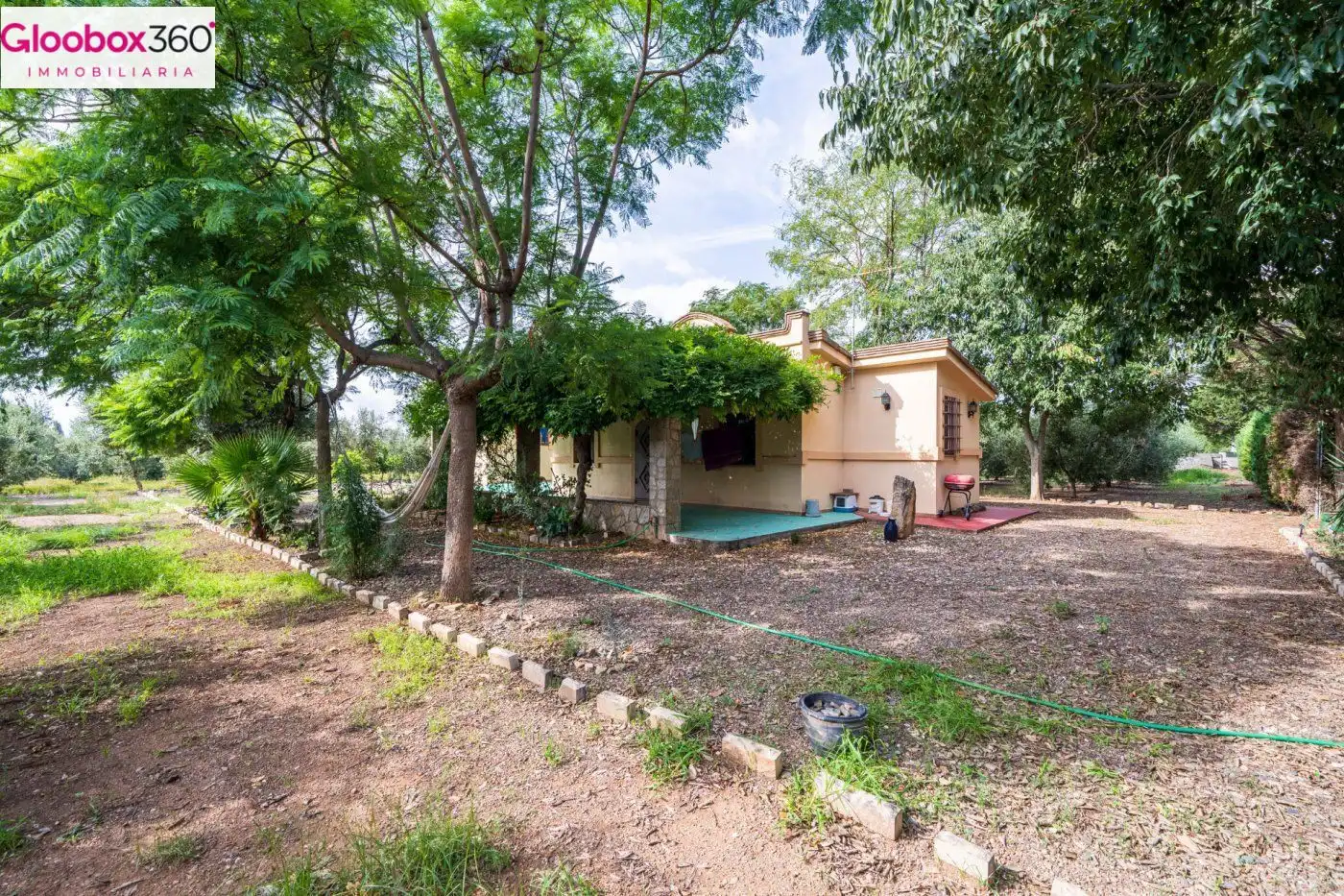 Vista exterior de Casa o chalet en venta en Riudoms con Calefacción, Jardín privado y Terraza