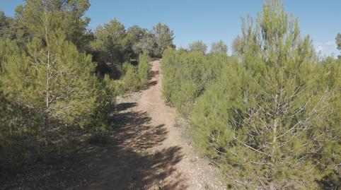 Foto 5 de Casa o xalet en venda a Costitx, Illes Balears