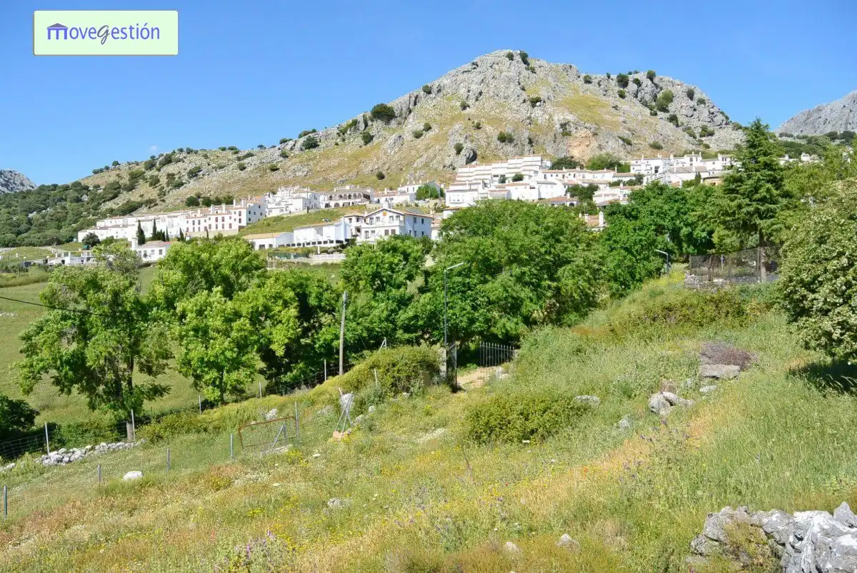 Vista exterior de Finca rústica en venta en Benaocaz con Terraza y Amueblado