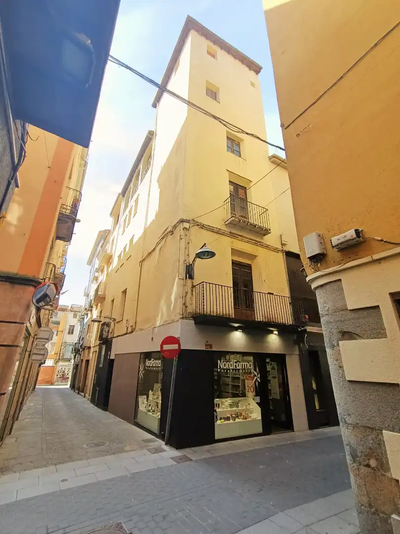 Vista exterior de Casa o chalet en venta en Olot con Trastero y Balcón