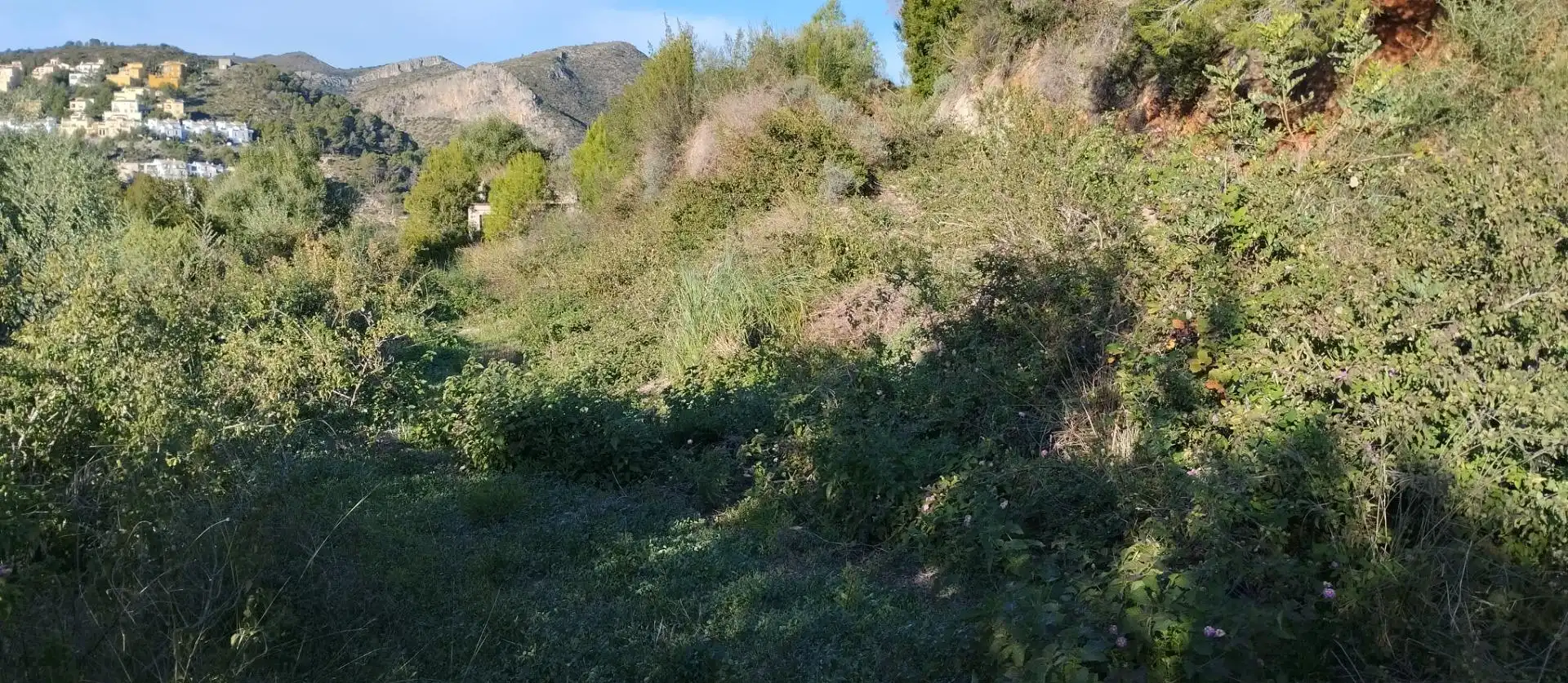 Terreny rústic en venda a L'Atzúbia, imagen 7