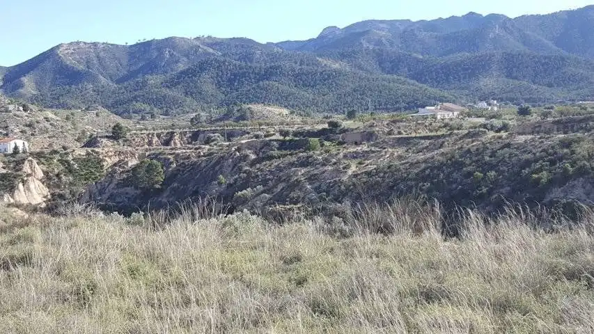 Finca rústica en venta en Ricote