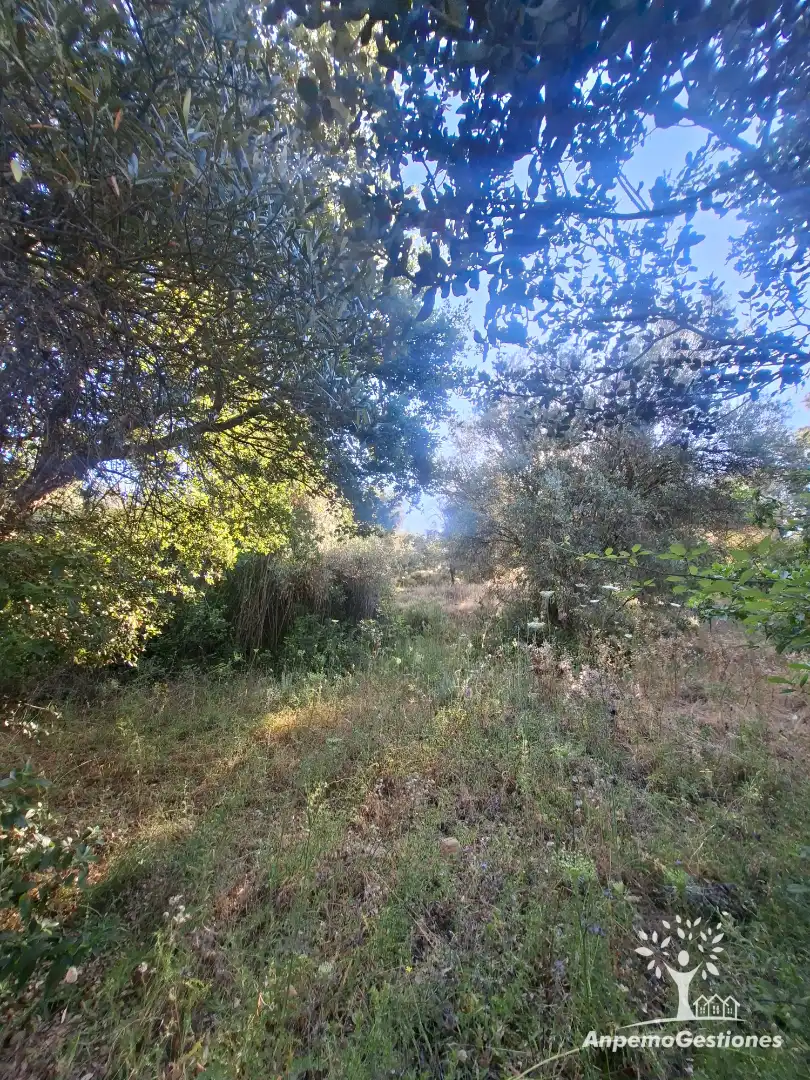 Land for sale in Las Navas de la Concepción