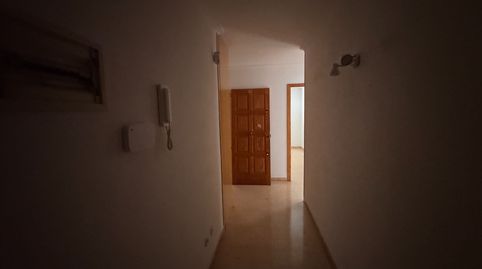 Foto 5 de Piso en venta en Es Vivero, Palma de Mallorca