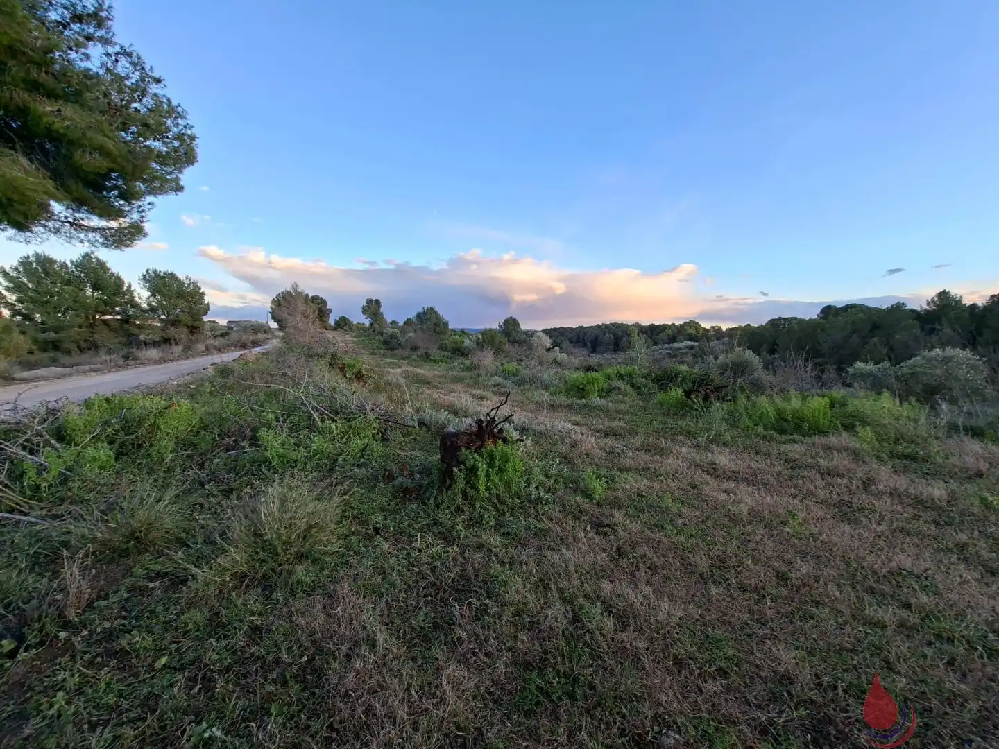 Terreni e lotti in vendita a Sant Quintí de Mediona, imagen 4