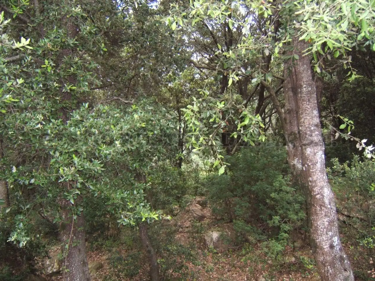Finca rústica en venda en Alfara de Carles