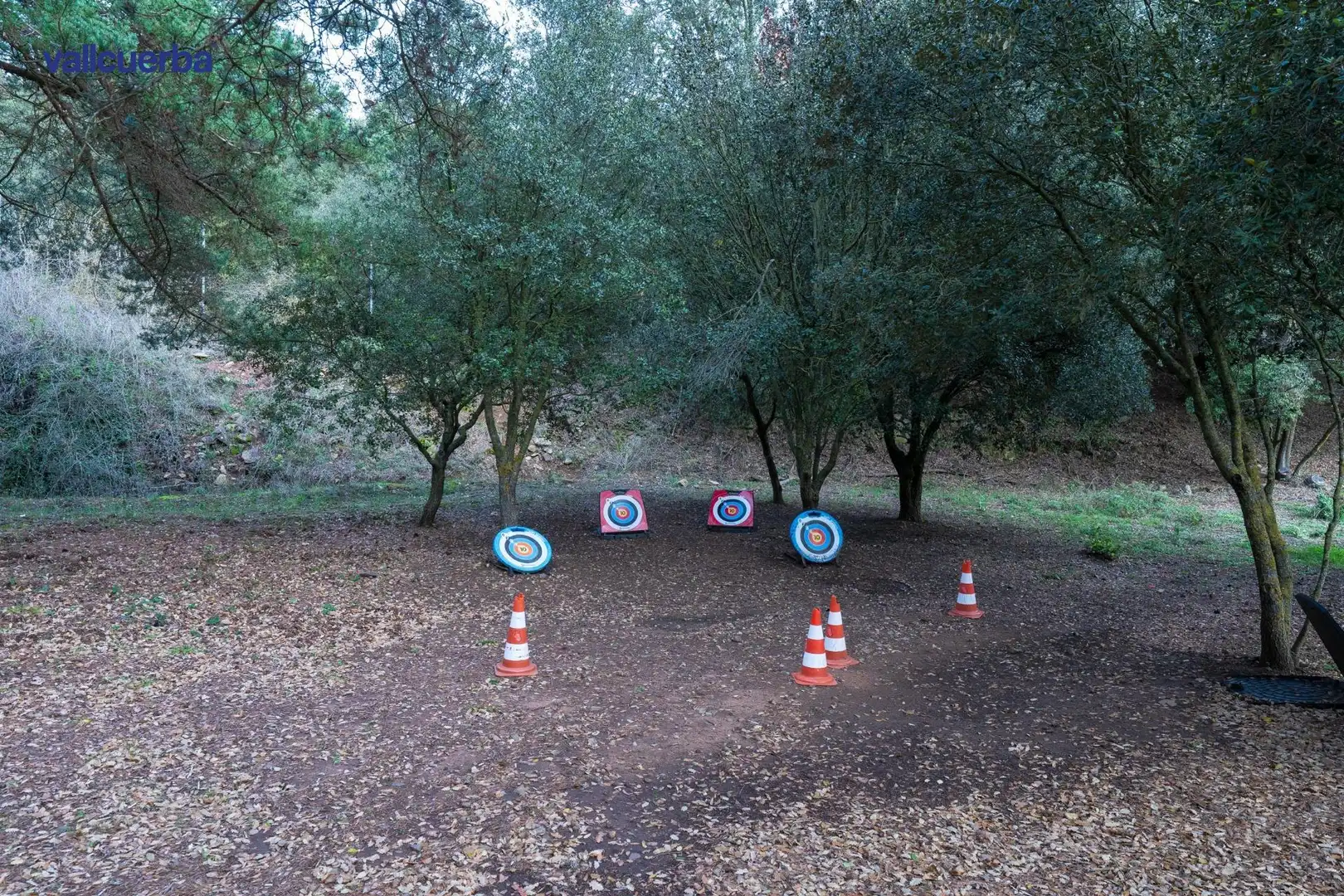 Terreno rústico en venta en Prades, imagen 15