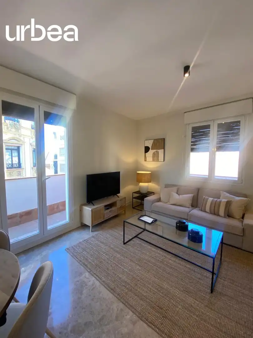 Sala de estar de Ático de alquiler en Málaga con Terraza, Amueblado y Balcón