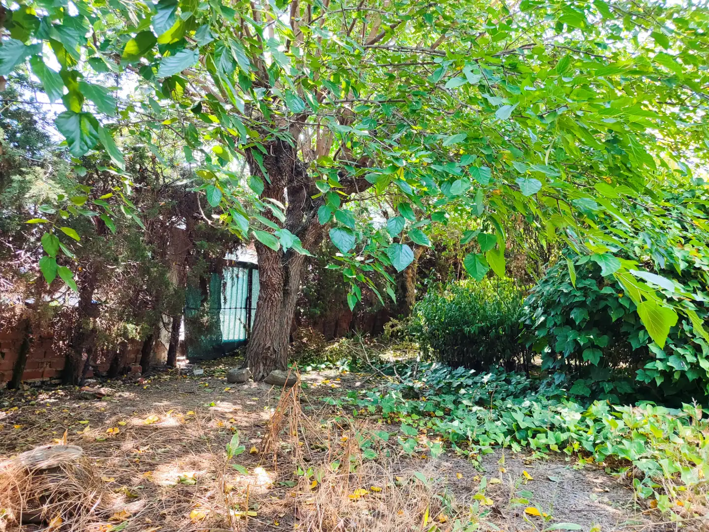 Villa mit Garten zum Verkauf in Calle Álamo 3, imagen 45