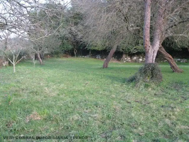 Haus mit Garten zum Verkauf in Quintana, imagen 10