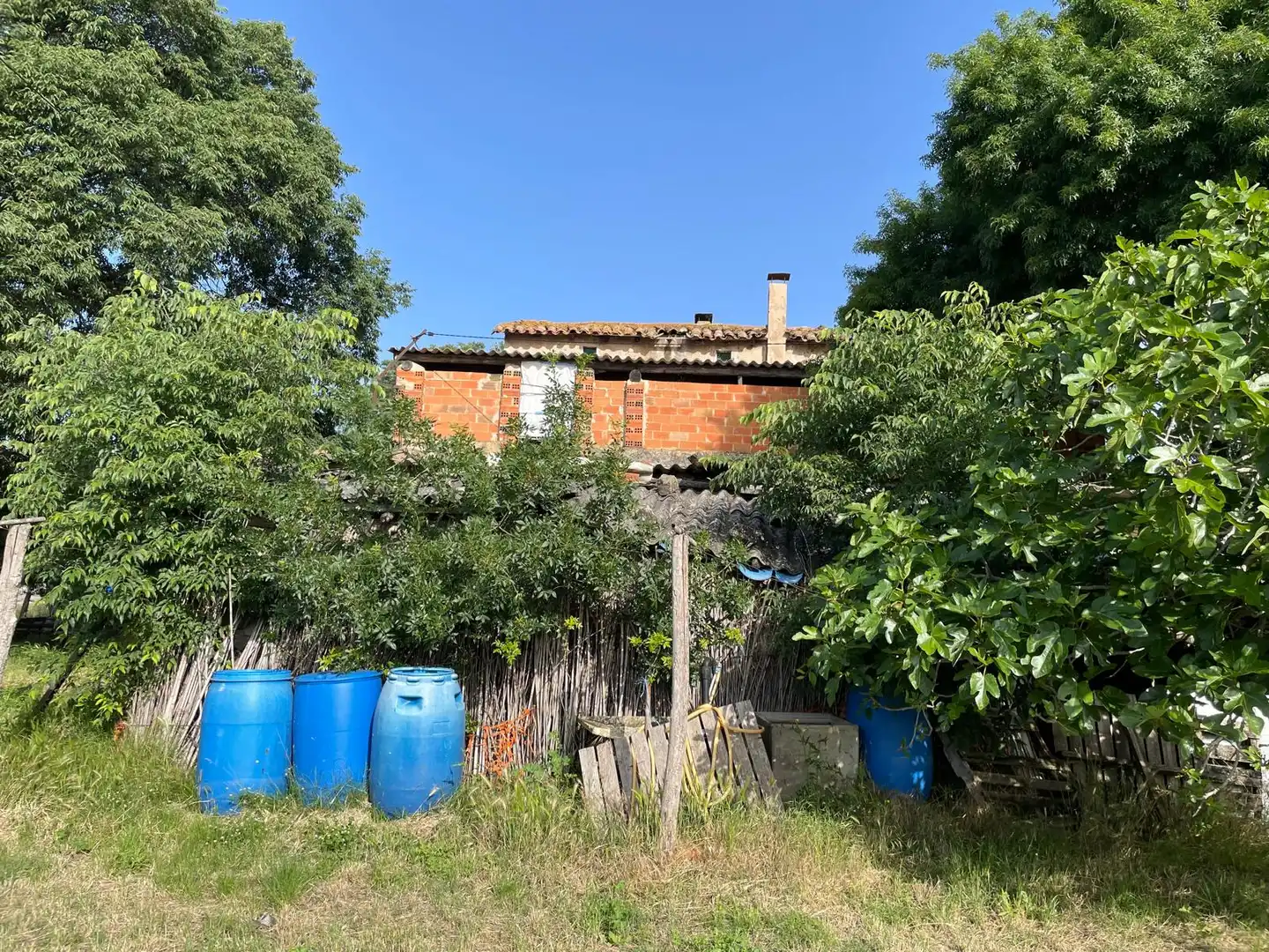 Casa rustica con giardino in vendita a Sant Jaume de Llierca, imagen 12