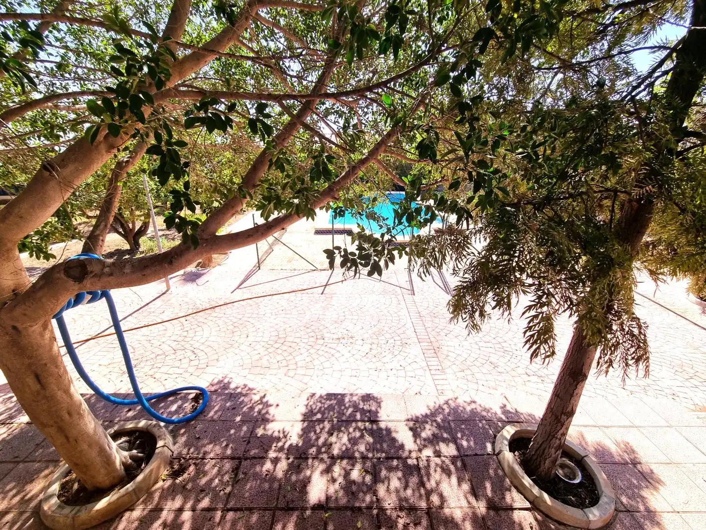 Houses for sale in Partida Boqueres, Villamontes - Boqueres