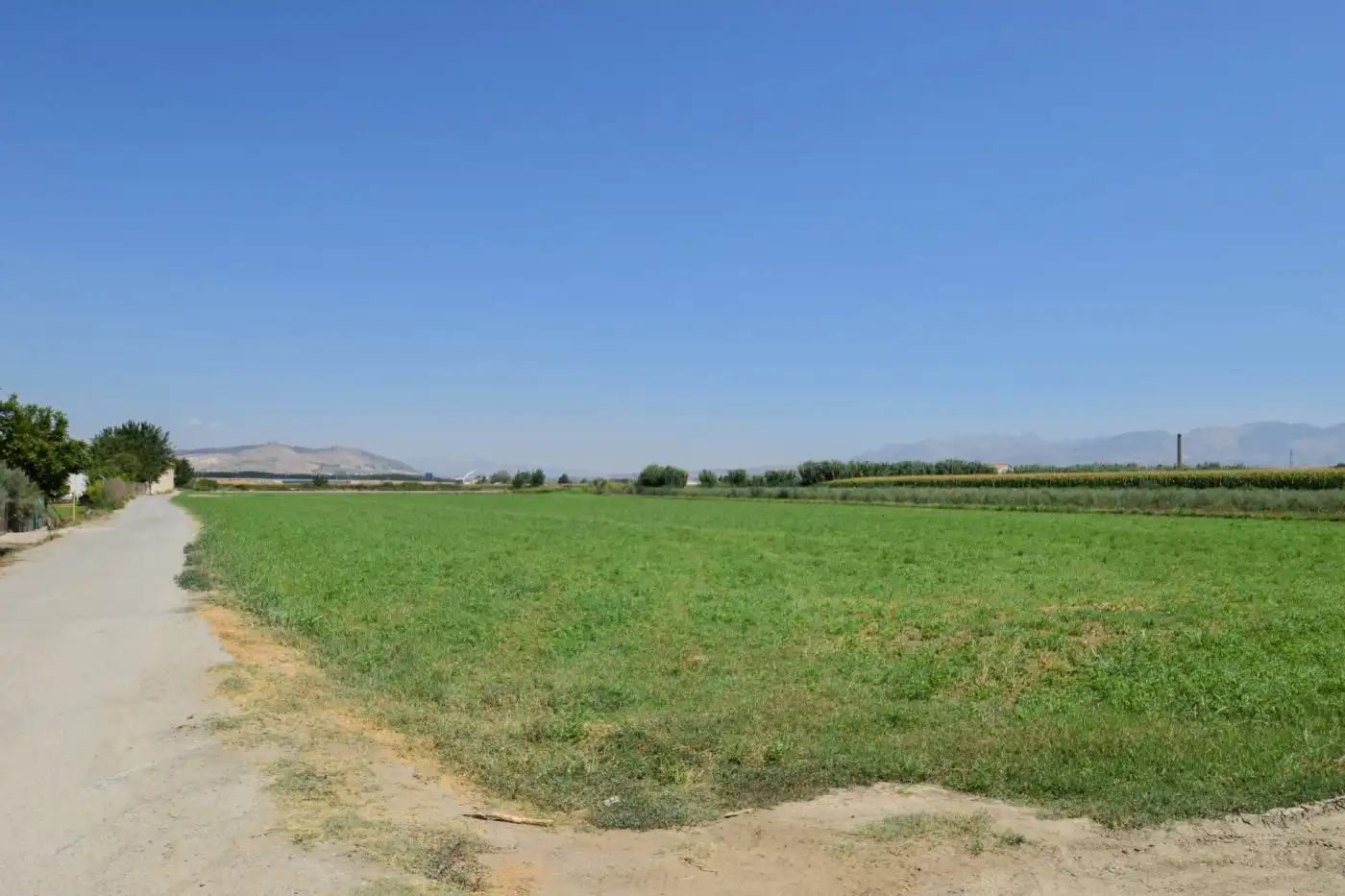 Finca rústica en venta en Belicena