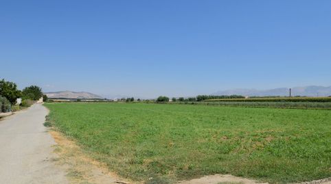 Foto 3 de Finca rústica en venta en Belicena, Vegas del Genil