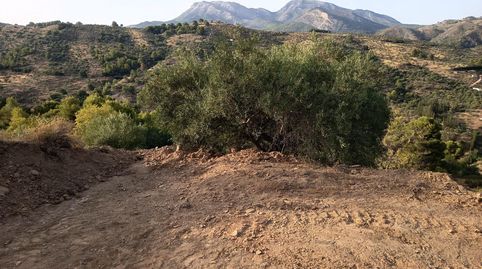 PARCELA EN TOLOX, immagine 5