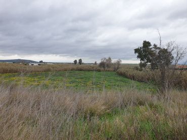 Terreno rustico in vendita a Parque de la Constitución 5a