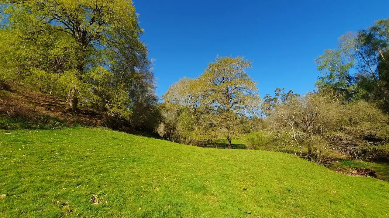 Finca rústica en venta en Llanes