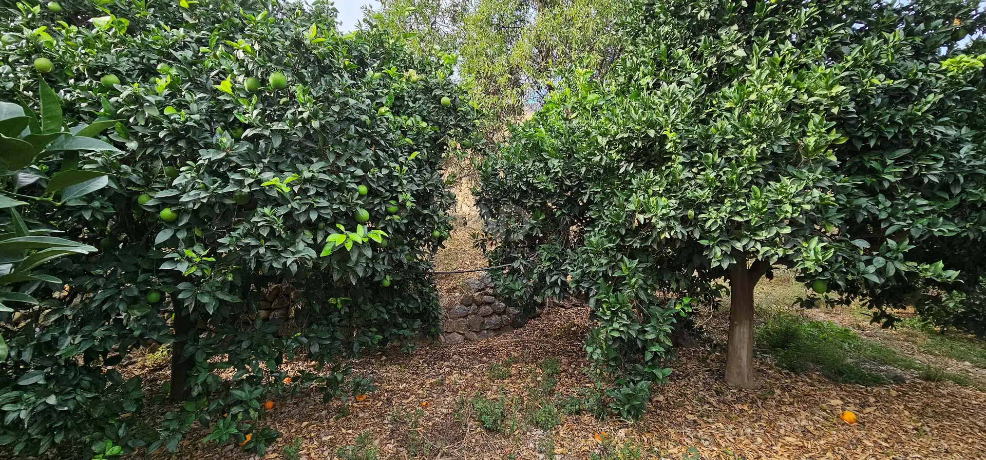 Residencial en venta en Íllar