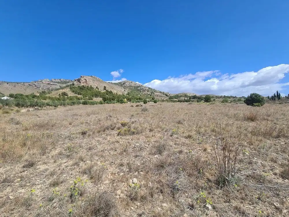 Residential land for sale in Las Tiesas, imagen 4