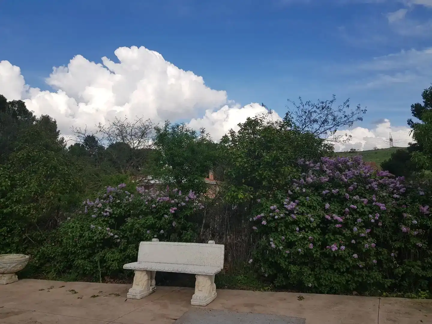 Jardí de Pis en venda en Paracuellos de Jarama amb Jardí privat, Traster i Piscina