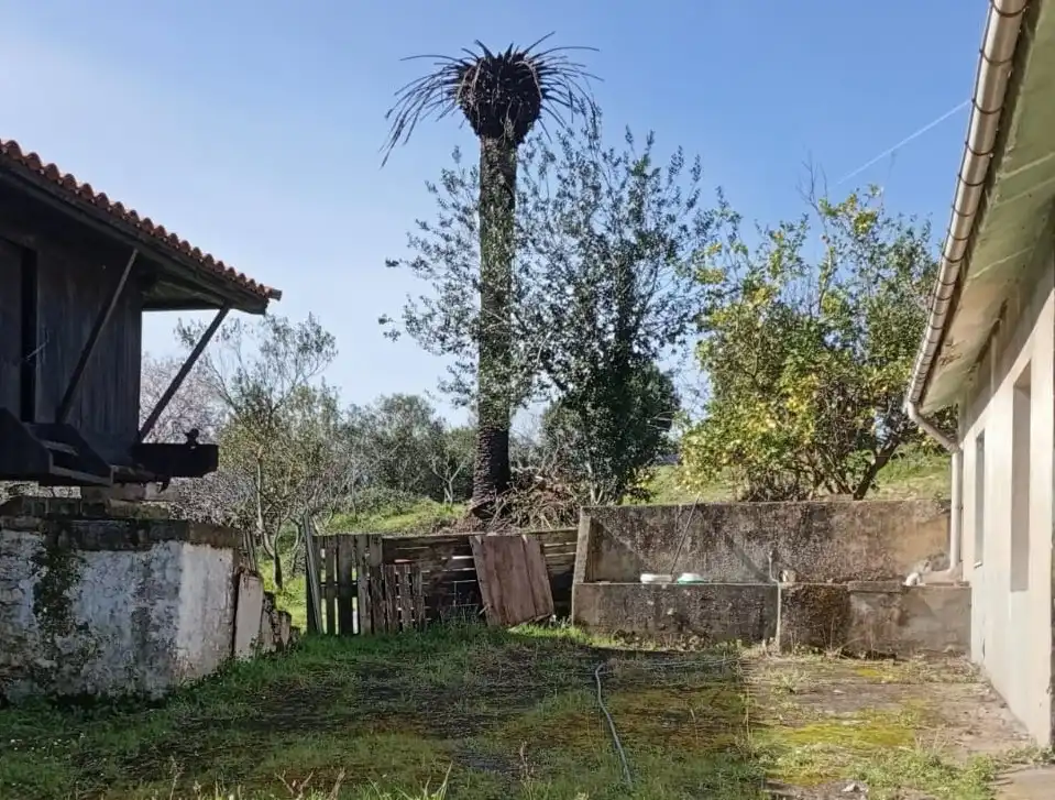 Casa en venda a Carreño, imagen 18