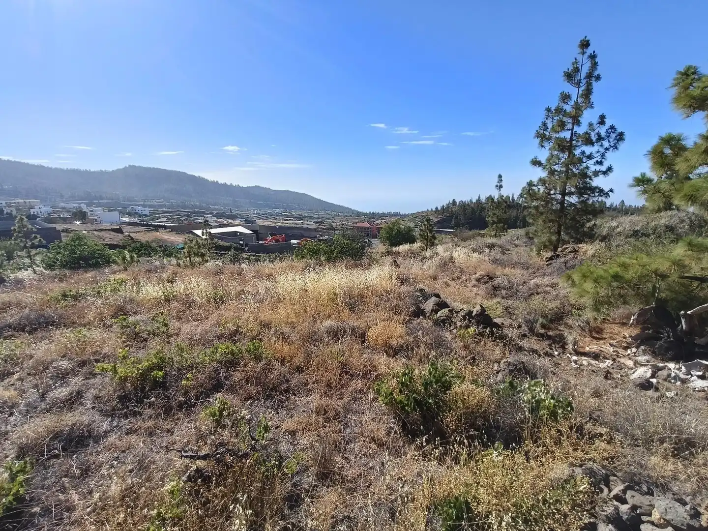 Terreno rústico en venta en M\A LIRIOS. VILAFLOR DE CHASNA [S.C. TENERIFE], imagen 4