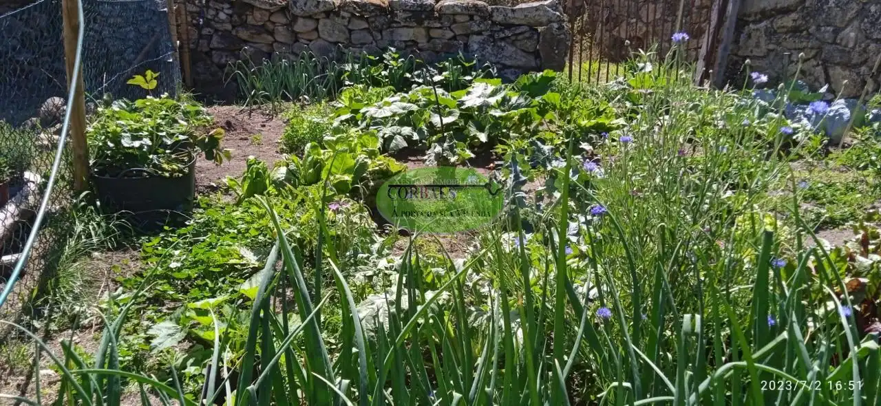Maison avec jardin à vendre à Manzaneda, imagen 43