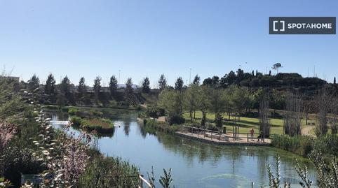 Photo 5 of Study to share in Playa de San Juan, Alicante