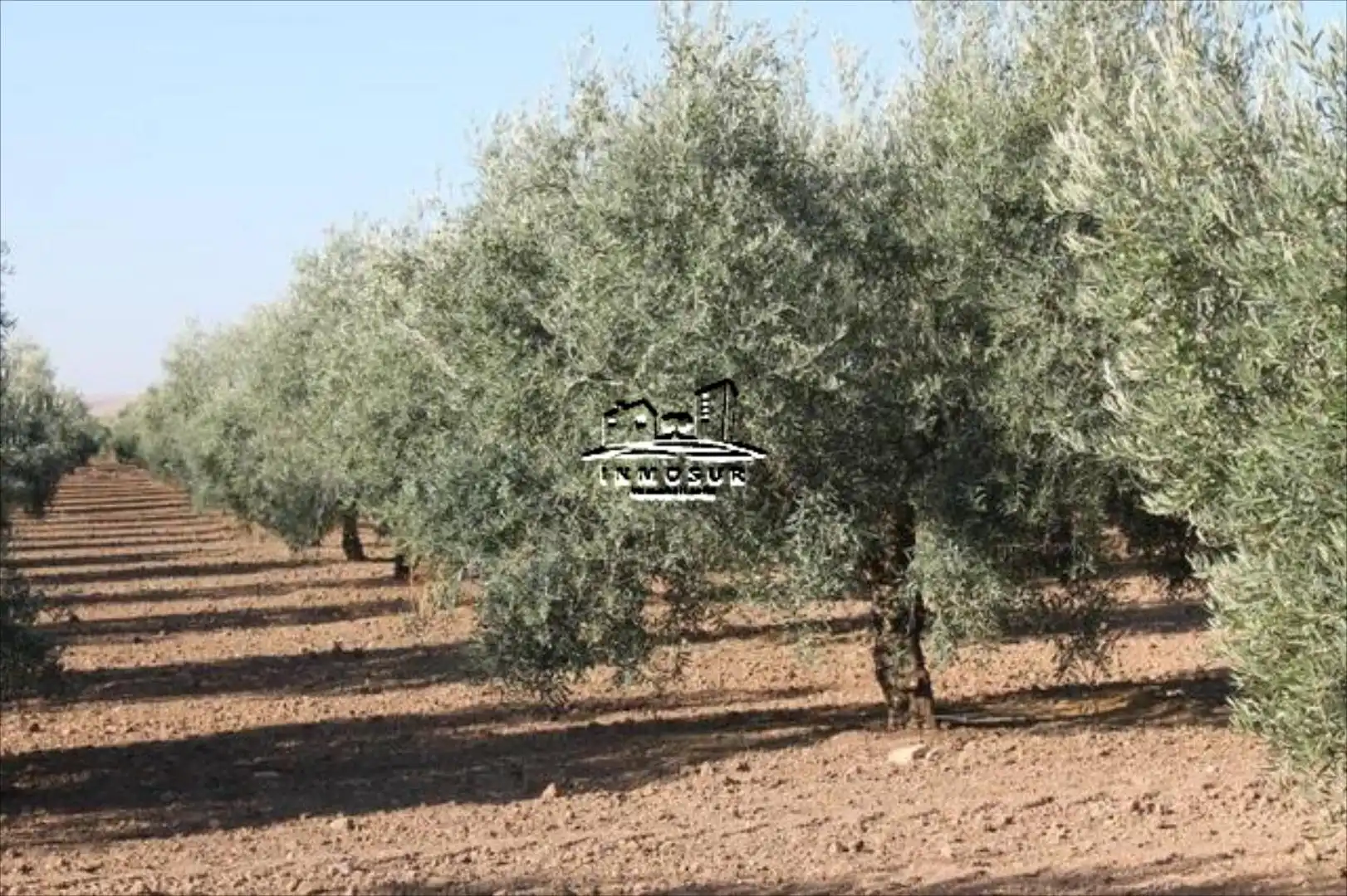 Rural land for sale in Poleares