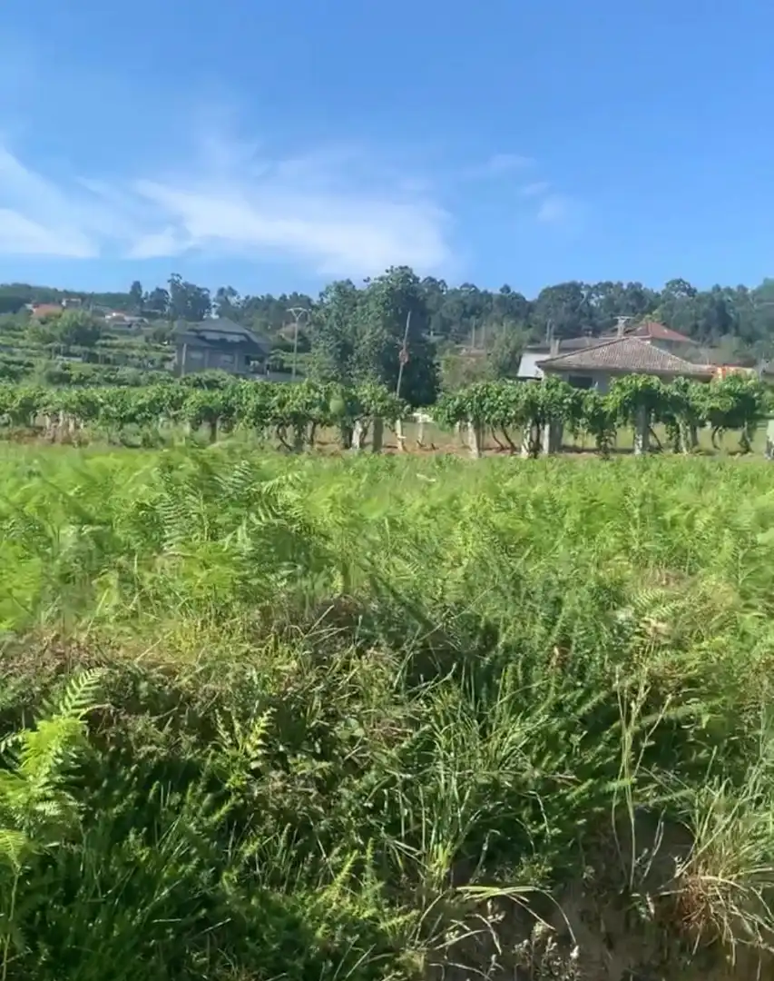 Lands and plots for sale in Barrio Mallón 40, imagen 11