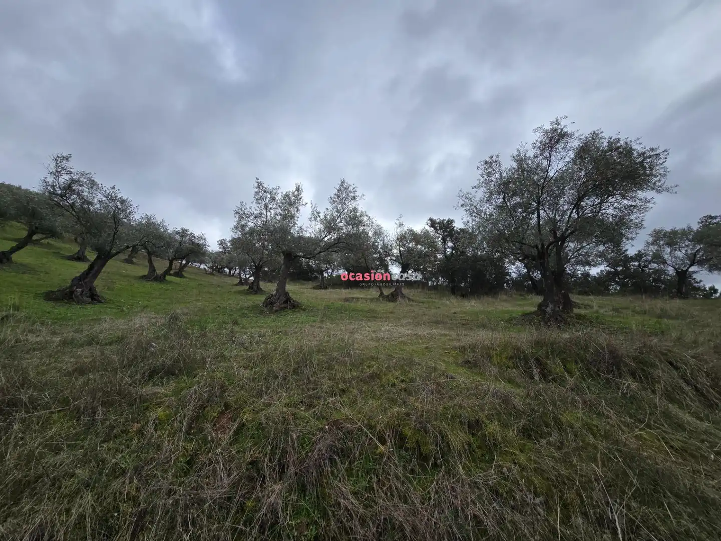 Casa rústica en venta en Pozoblanco, imagen 27
