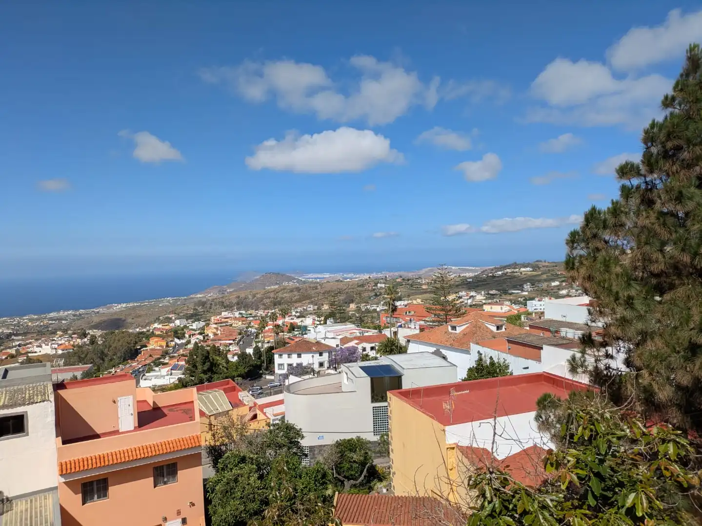 Vista exterior de Casa adosada en venda en Firgas amb Jardí privat, Terrassa i Balcó
