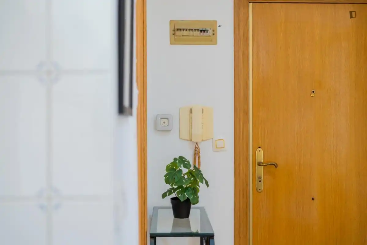Room in Ciutat Fallera