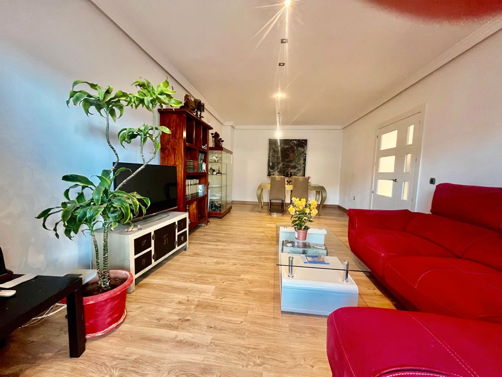 Living room of Flat for sale in Roquetas de Mar  with Parquet flooring, Terrace and Storage room