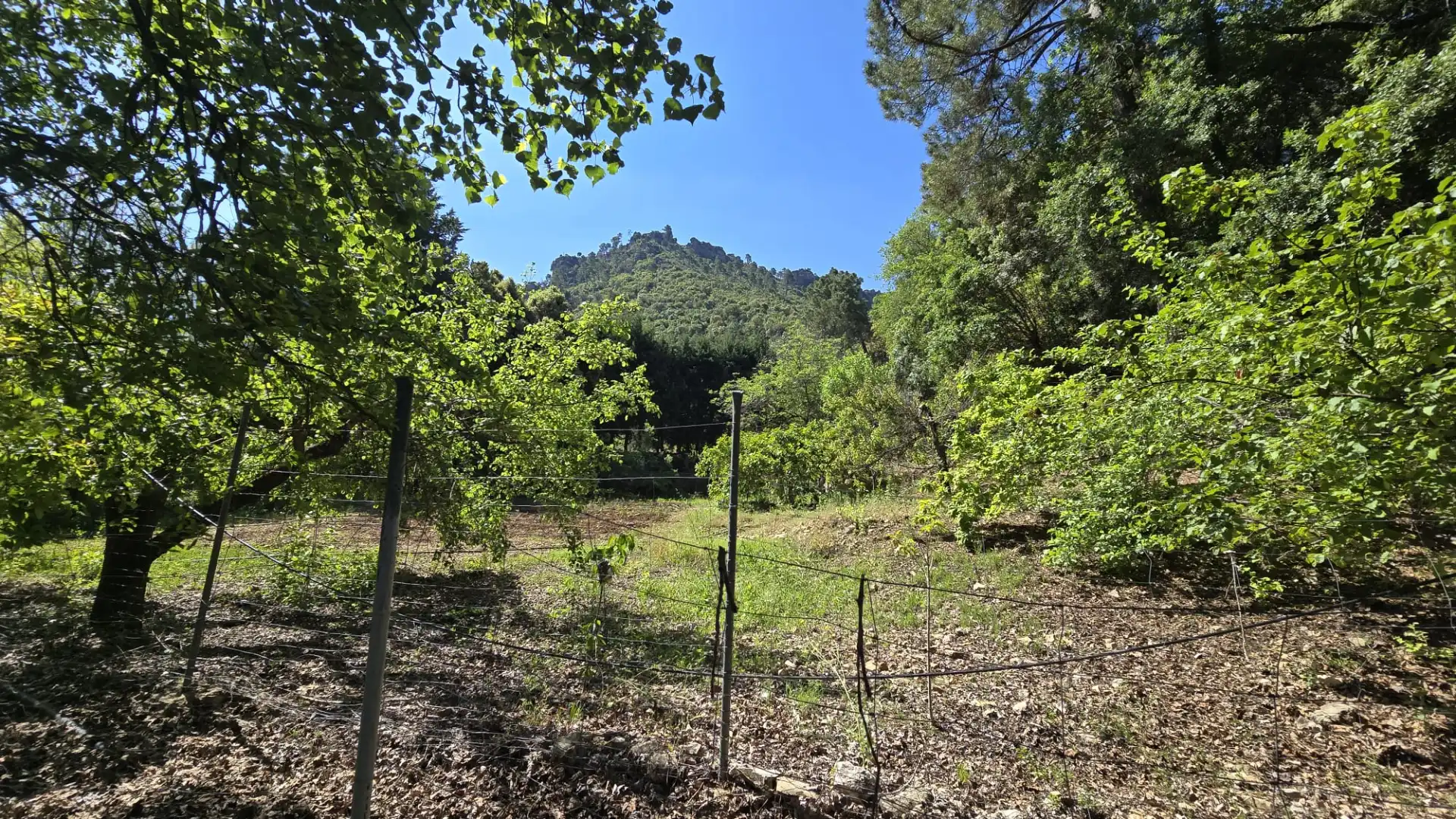 Finca rústica en venta en Villanueva del Arzobispo con Calefacción, Trastero y Piscina
