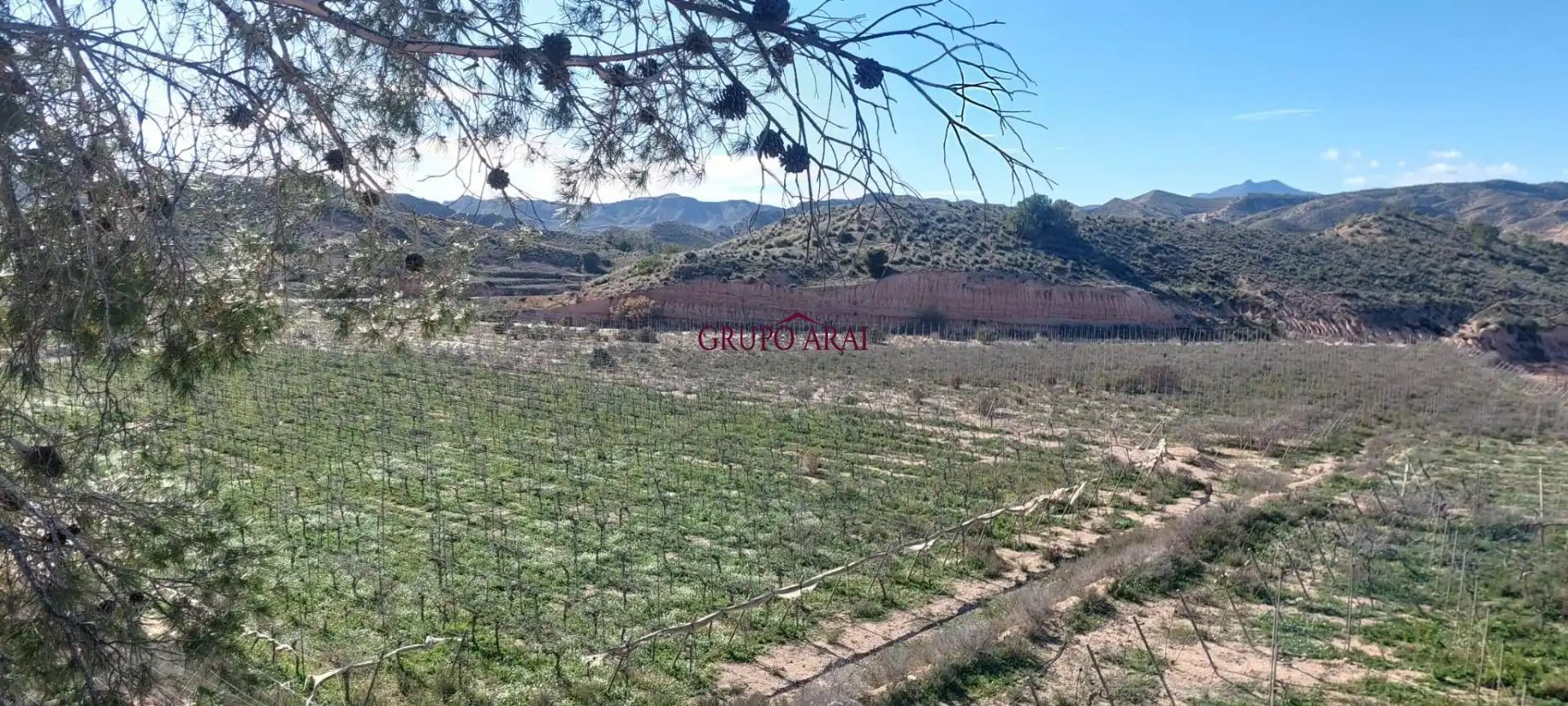 Terreno rústico en venta en Avenida del Mediterráneo, imagen 16