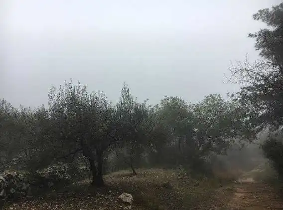 Rural land for sale in Carrer Parpalló 12A, imagen 5
