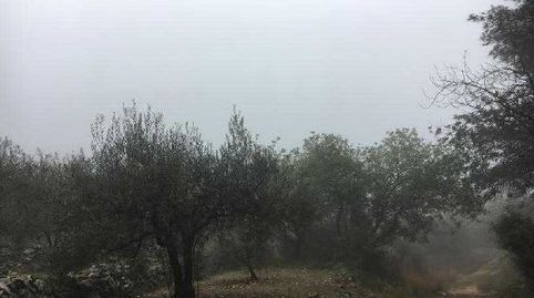 Imagen 5 del anuncio
